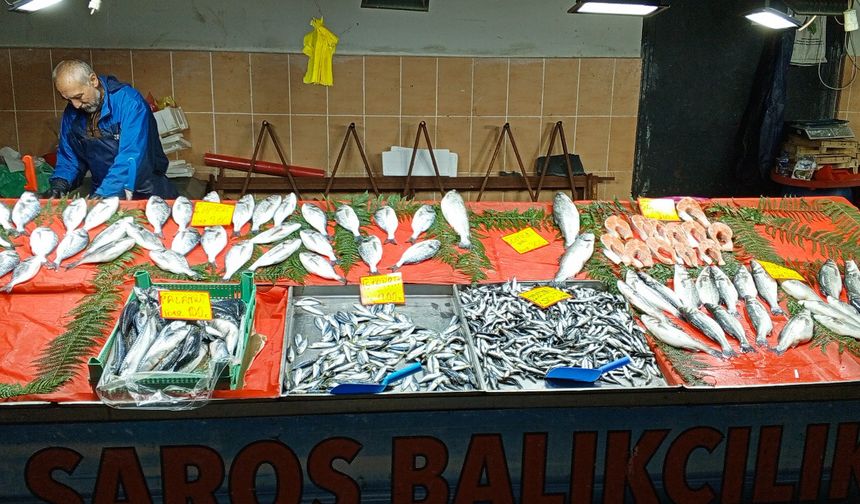 Kırklareli Çarşamba Pazarı’nda Balık Fiyatları