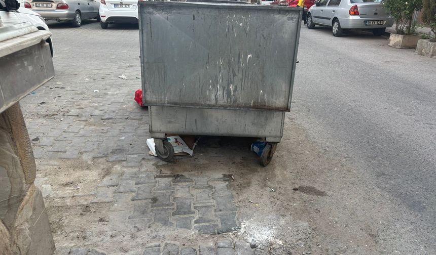 Çöpler Konteyner Etrafında Birikiyor, Çevre Sorunu Büyüyor
