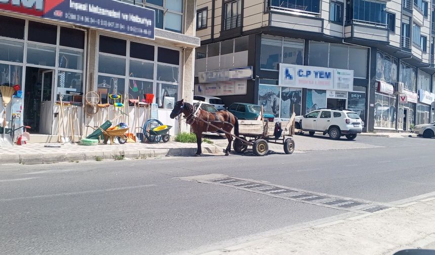 Kırklareli'nde At Arabaları Sokaklardan Çekilmiyor