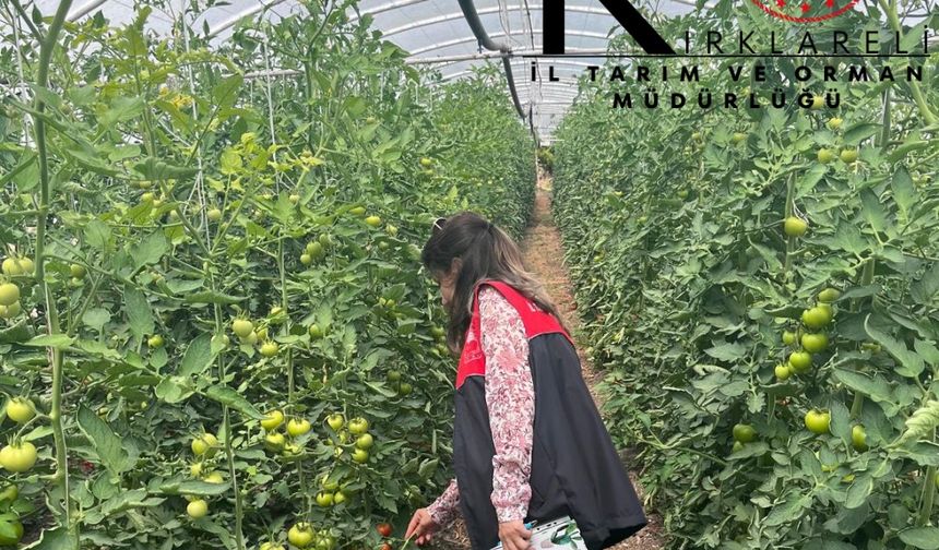 Kırklareli Vize’de Üreticilere Teknik Destek