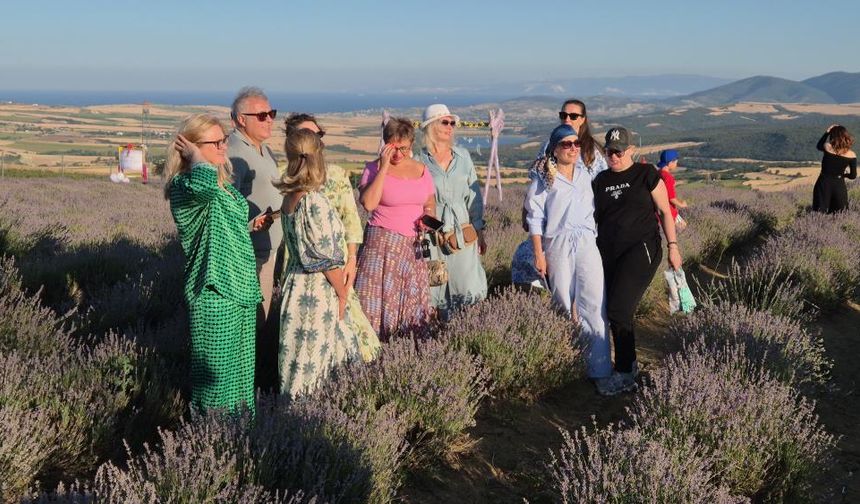 Rus turistler Tekirdağ'da mor lavanta tarlalarına hayran kaldı
