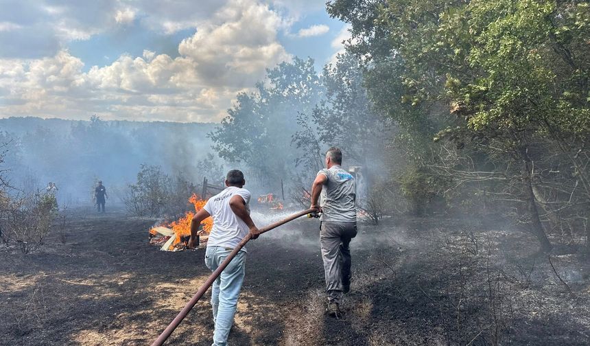İğneada’da Orman Yangını Büyümeden Söndürüldü