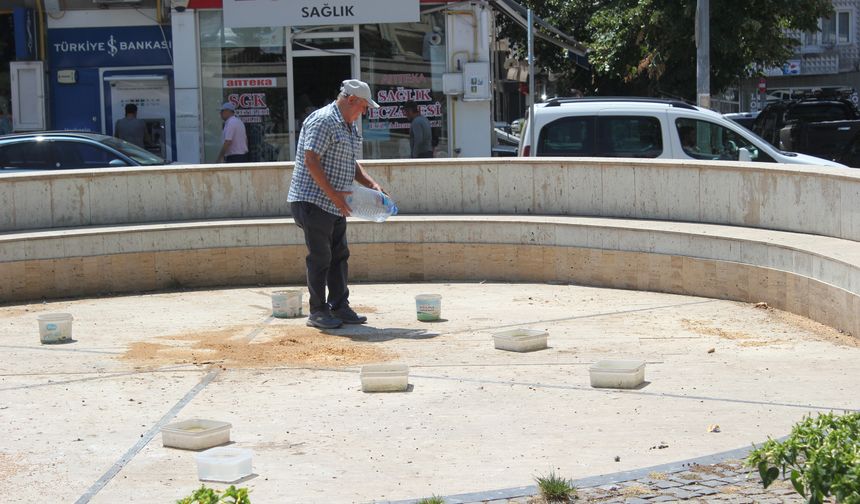 Kırklareli Özgürlük Parkı’nda Kuşlara Su ve Yem Desteği
