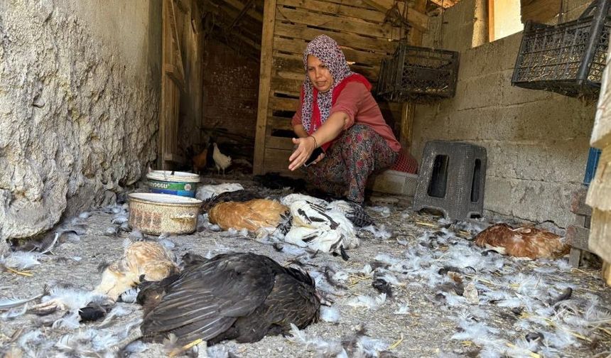 Kadın girişimcinin 22 yıllık emeği bir gecede yok oldu