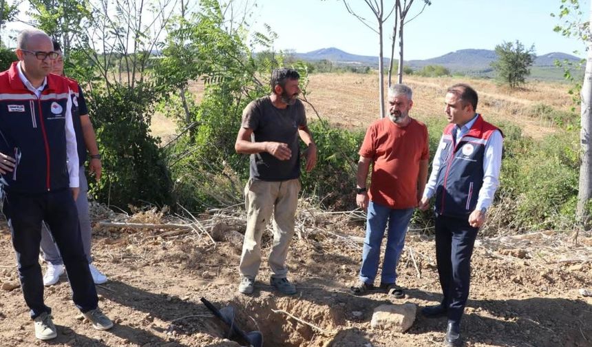 Edirne'de sera yatırımlarıyla tarımsal üretim kapasitesi artırılıyor