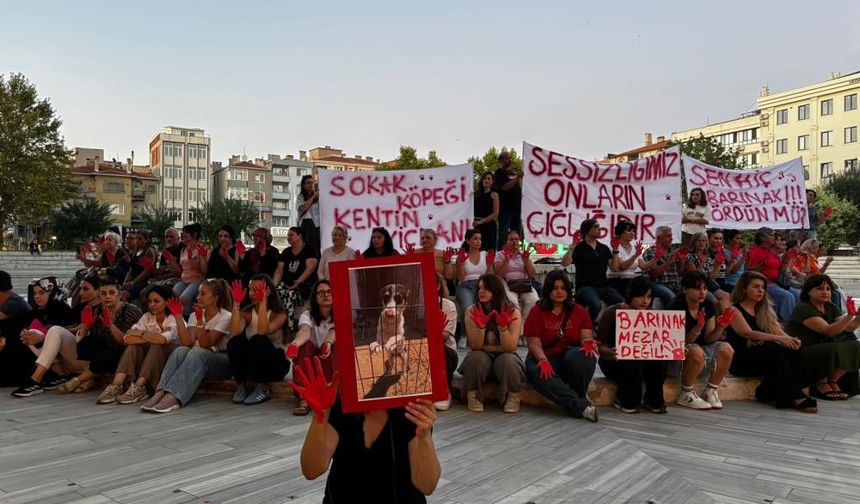 Lüleburgaz Belediyesi önünde oturma eylemi: Eylemciler siyah çelenk bıraktı