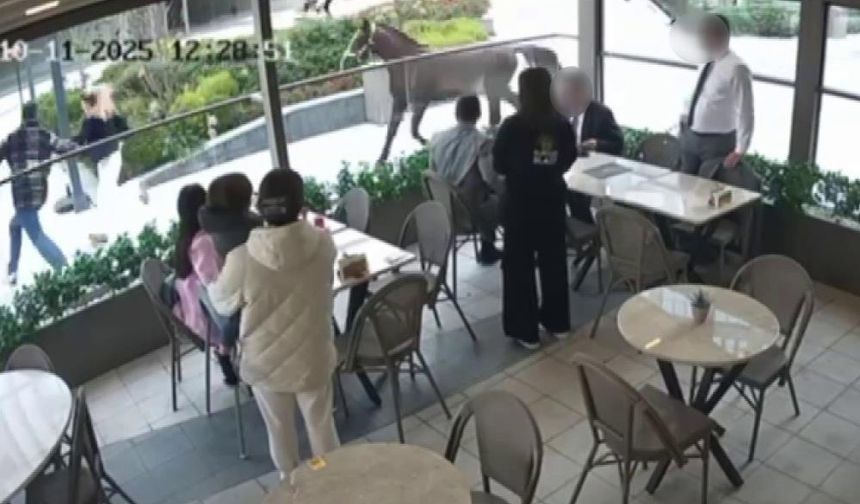 Ümraniye'de garip olay: Başıboş at vatandaşları dakikalarca kovaladı