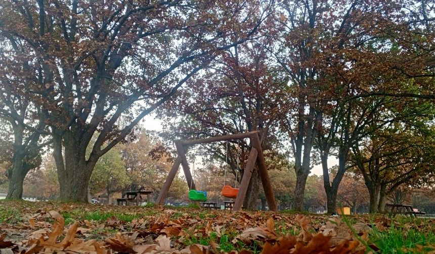 Sonbaharda Kavaklı Korusu Bir Başka Güzel