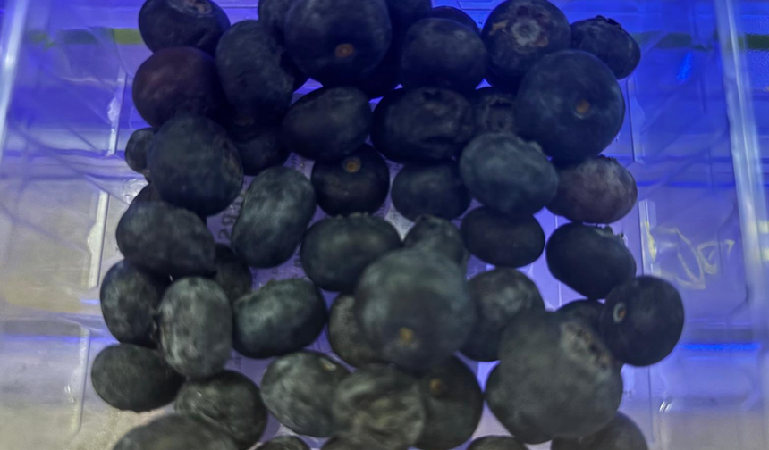 Yaban Mersini Vatandaşların Gözdesi Oldu