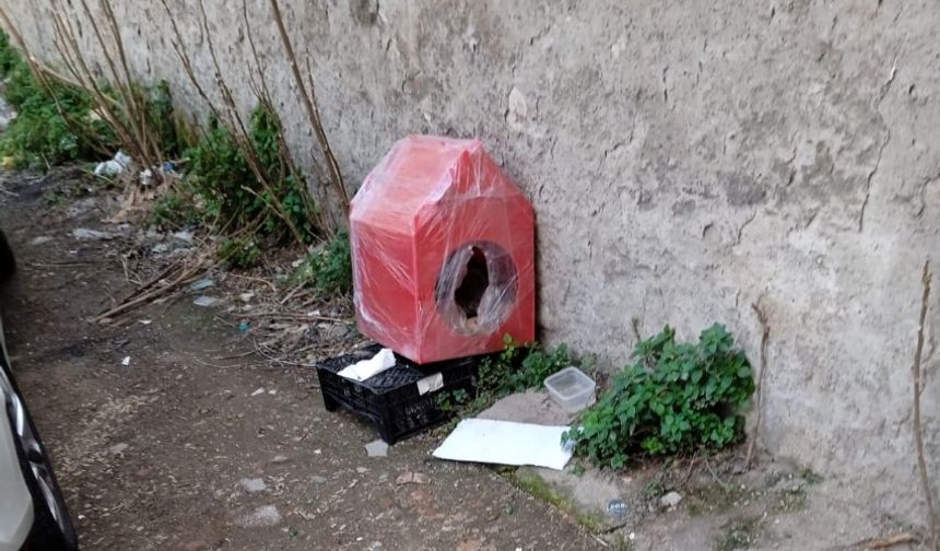 Kırklareli’nde Sokak Kedileri İçin Duyarlı Davranış