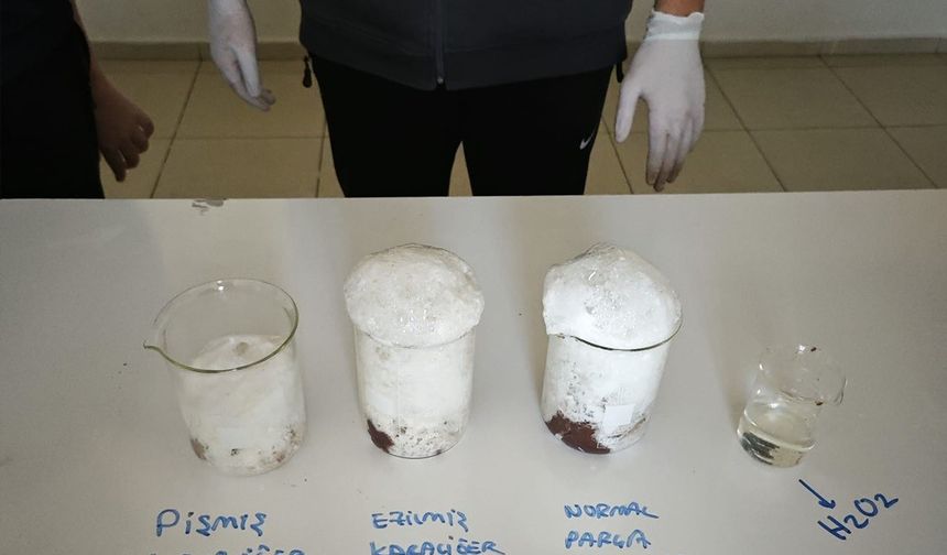 Bilim Laboratuvarda Canlandı