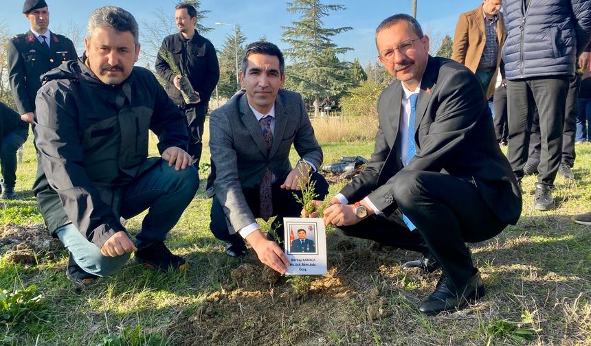 Pınarhisar’da Şehitler Anısına Fidan Dikildi