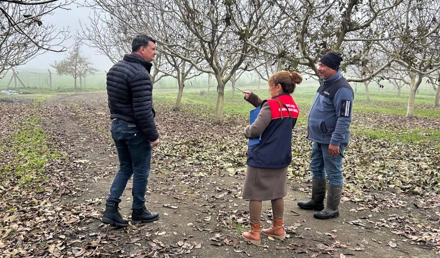 Lüleburgaz’da Ceviz İşletmesine İyi Tarım Denetimi