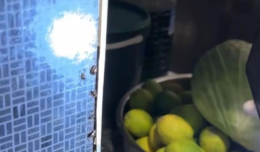 Alışveriş merkezindeki restoranlarda mide bulandıran görüntüler