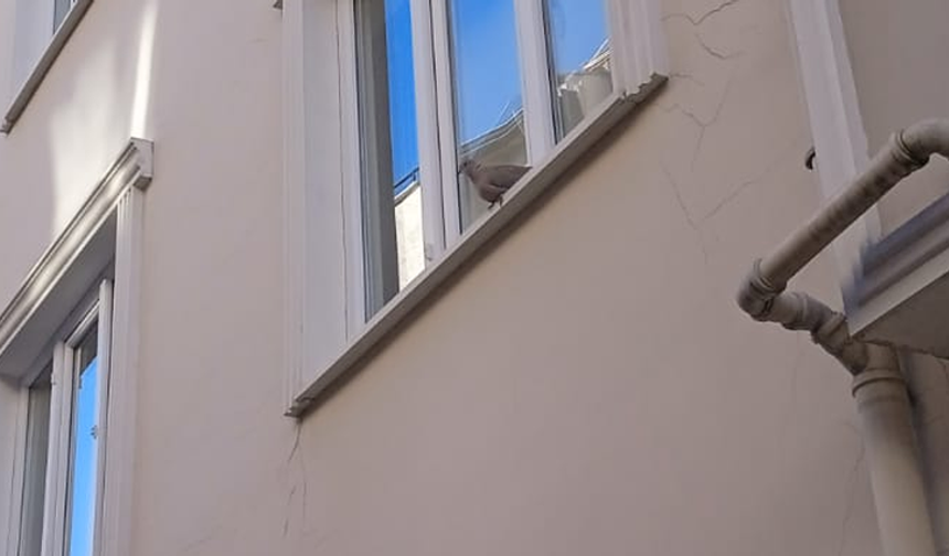 Güvercinler Binalara Sığınıyor