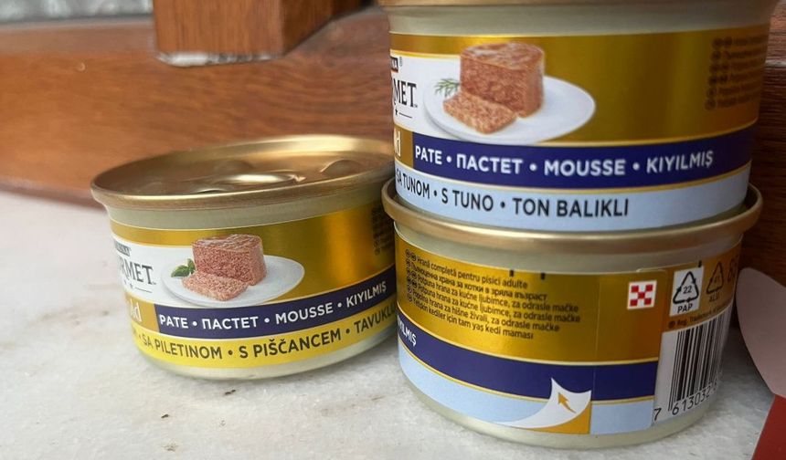 Sadece Kuru Mama Yetmiyor