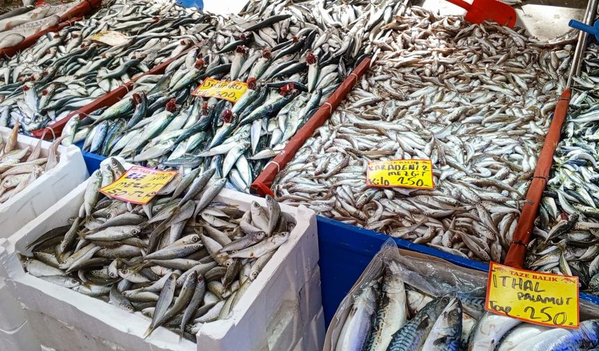 Sevgililer Günü’nde Balık Tezgâhlarında Özel Not: Hamsiye “14 Şubat” Etiketi