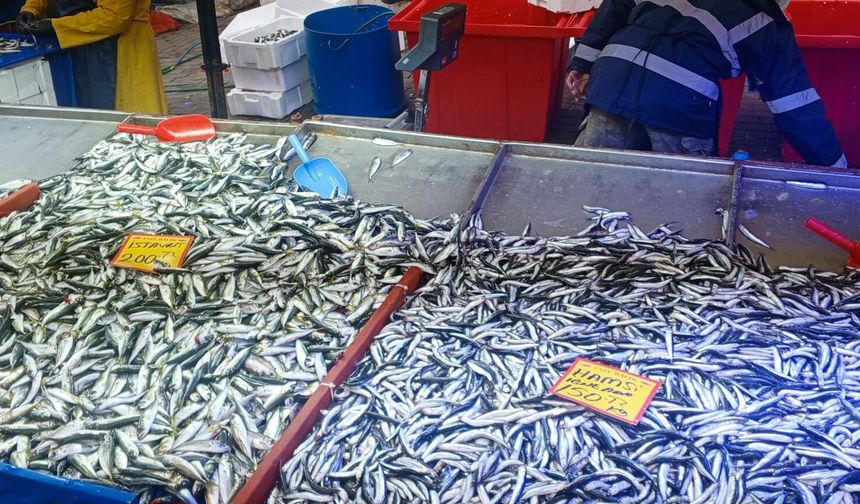 Ramazan’ın İlk Cumartesi Pazarında Balık Tezgâhları Doldu