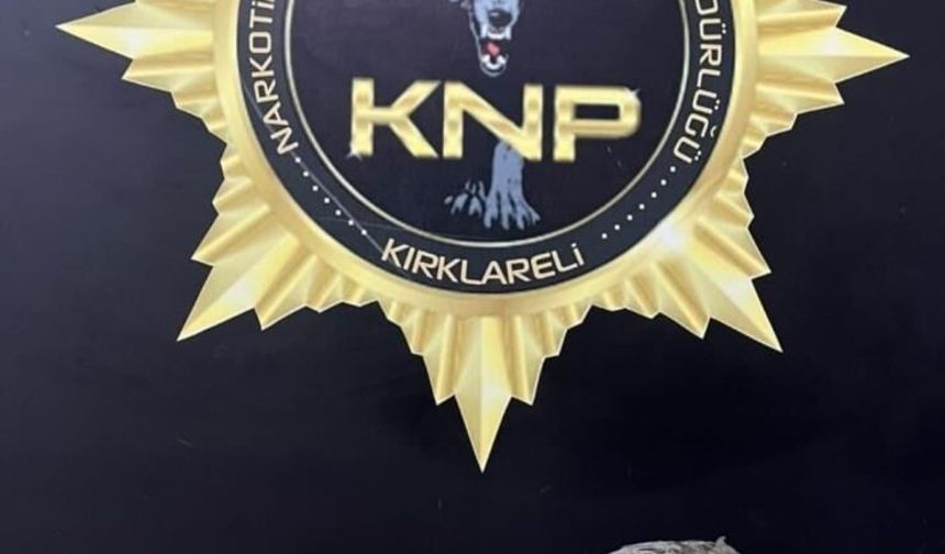 Kırklareli'nde 450 gram bonzai ele geçirildi: 1 kişi tutuklandı