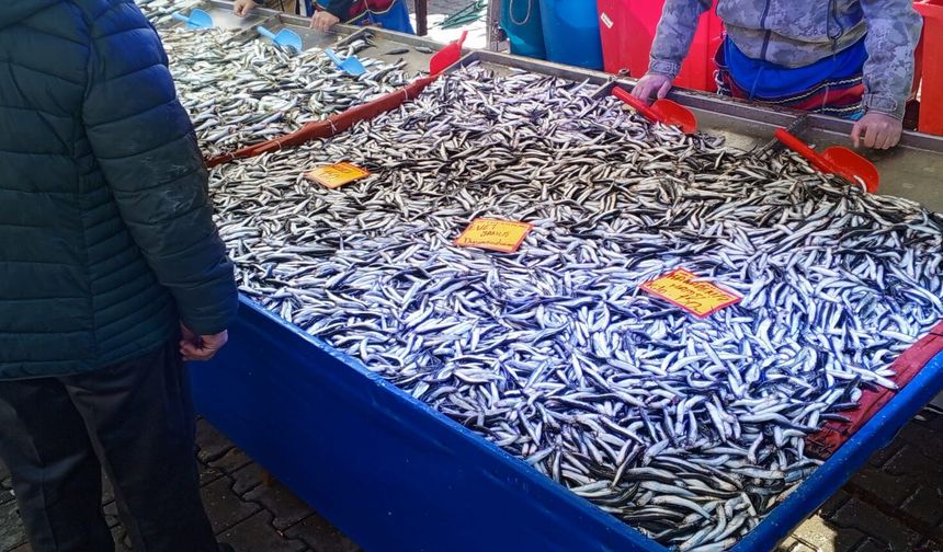 Cumartesi Pazarında Balık Tezgâhları Doldu, Fiyatlar Dikkat Çekti