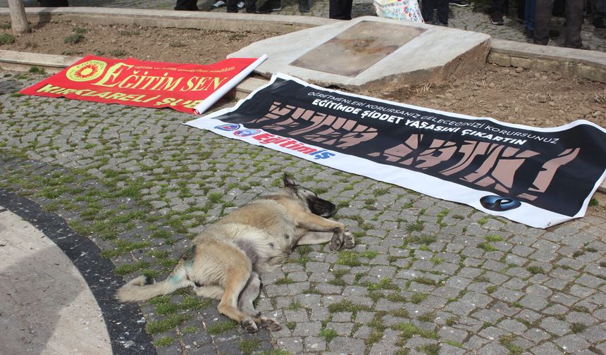 Eylemin En Sakin Katılımcısı