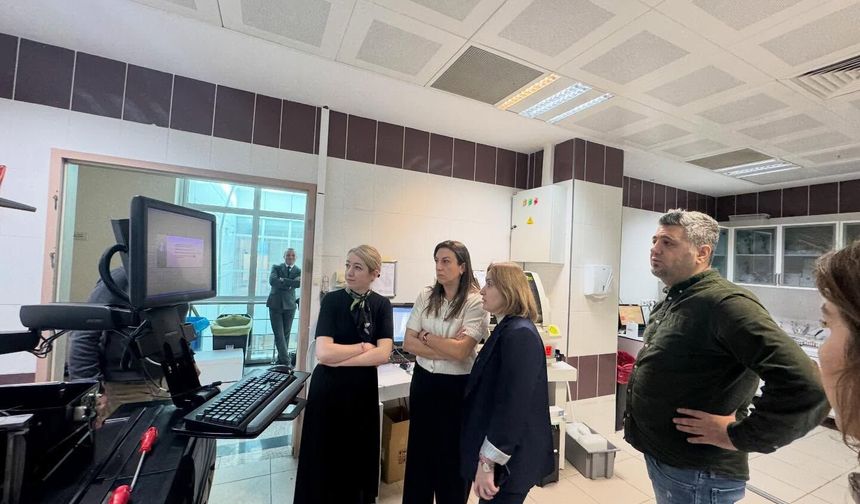 Hizmet Alanları Yerinde Değerlendirildi