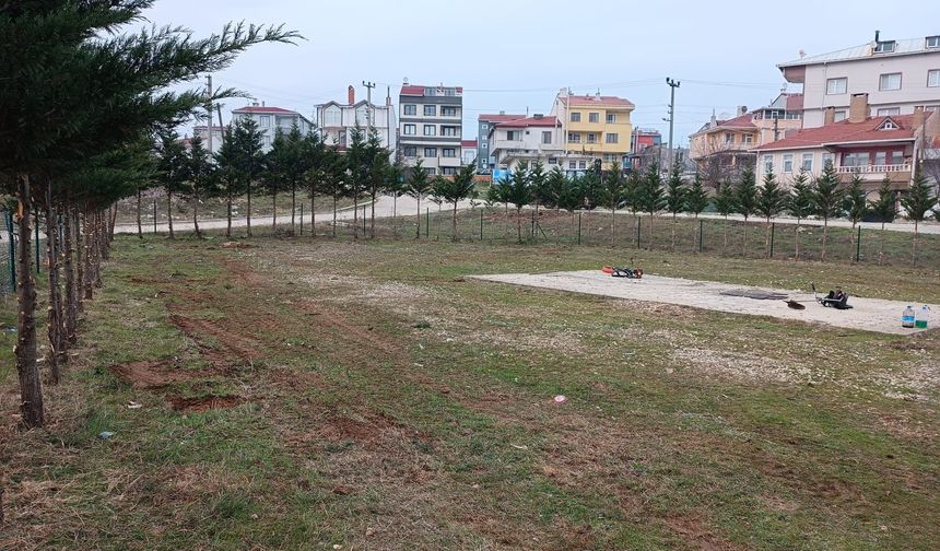 Kıyıköy’de Budama ve Temizlik Çalışmaları Sürüyor