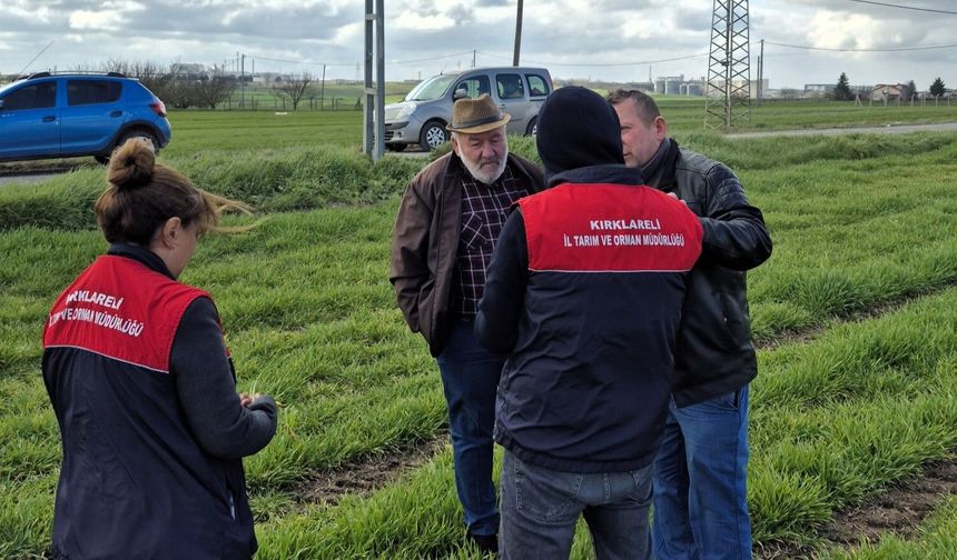 Arpa Tarlalarında Fenolojik Gözlem Yapıldı
