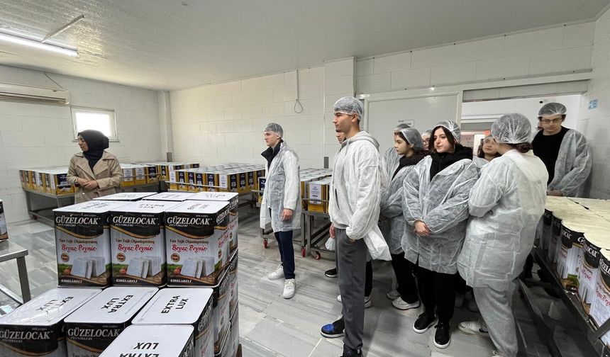 Öğrencilerden Peynir Fabrikasına Ziyaret