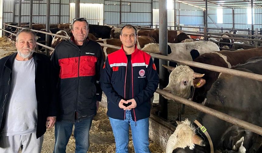 Kurban Bayramı Öncesi Besi Çiftliklerine Sıkı Denetim