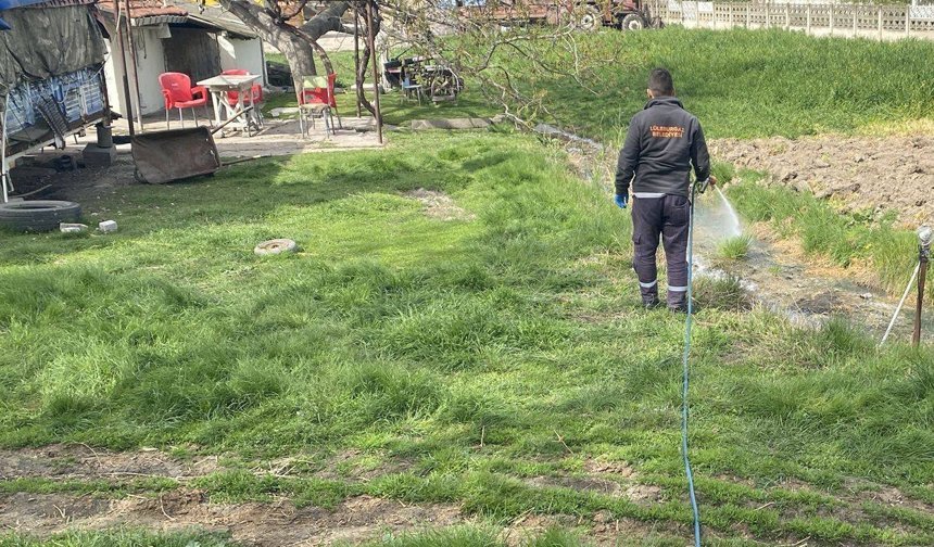 Lüleburgaz’da Zararlılara Karşı İlaçlama Sürüyor