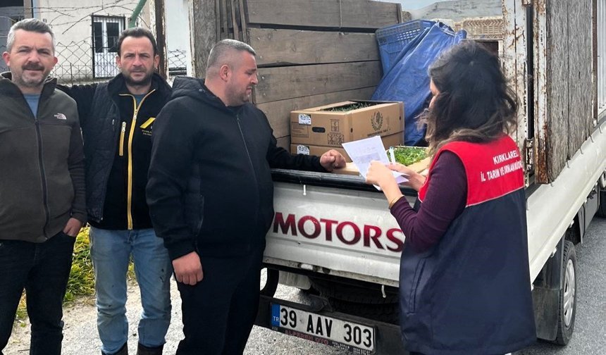 Vize’de Üreticilere Hibeli Domates Fidesi Desteği