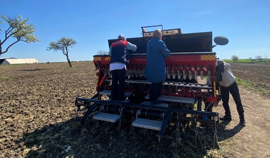 Babaeski’de Aspir Tohumları Toprakla Buluştu