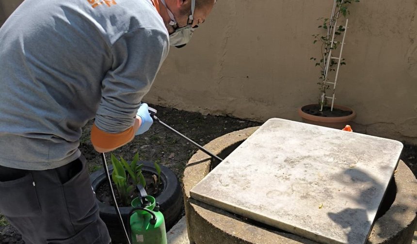 Lüleburgaz’da Zararlılarla Mücadele Sürüyor