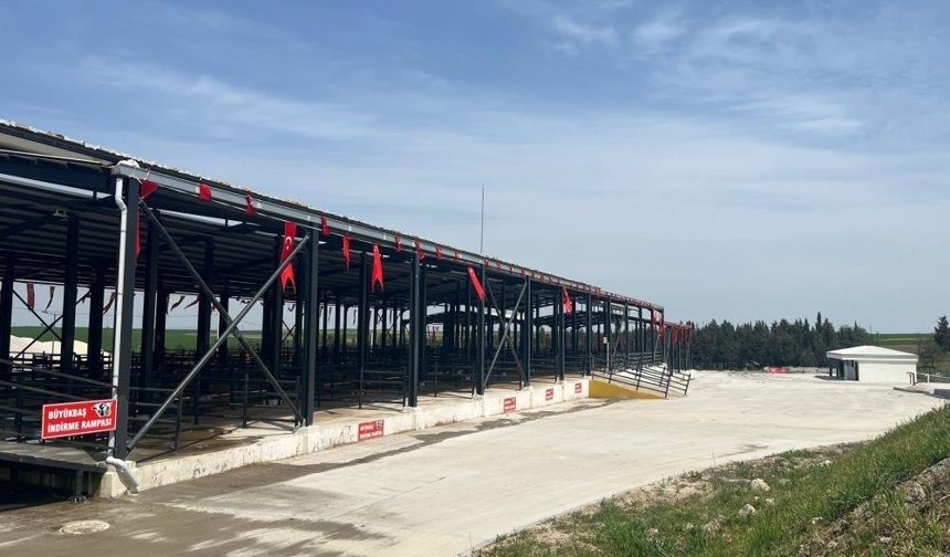 Havsa Modern Canlı Hayvan Pazarı hizmete açıldı