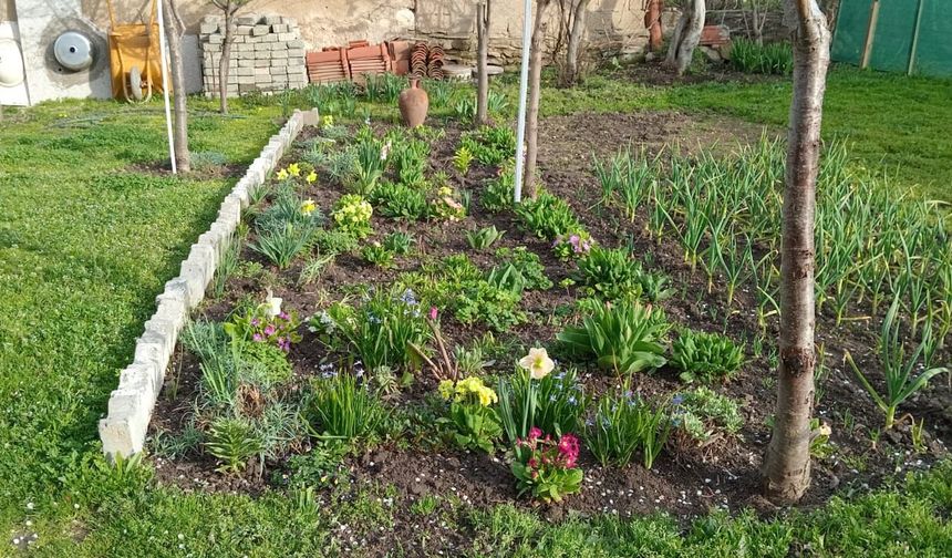 Bahçeler Üretim ve Hobi Alanına Dönüşüyor