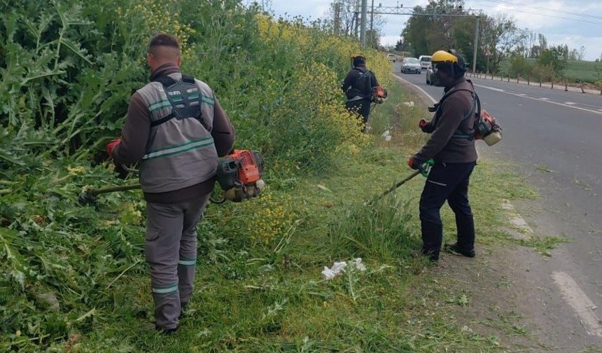 Lüleburgaz’da Temizlik ve Ot Biçme Çalışmaları Sürüyor