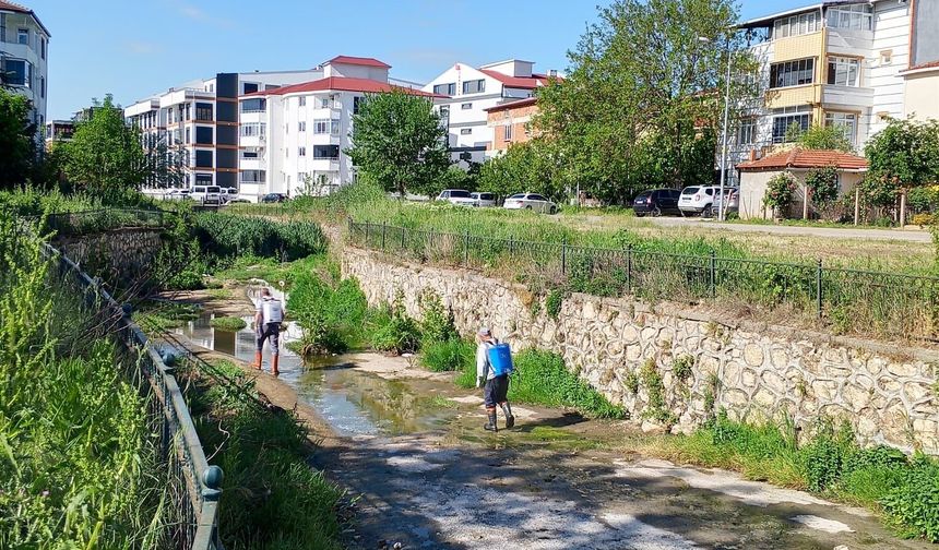 İnci Dere’de Vektörle Mücadele Çalışmaları Yoğunlaştı