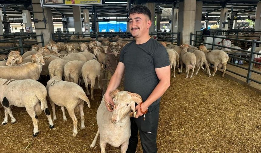 Bursa'daki sıra dışı "gergedan boynuz"lu koç görenleri şaşırtıyor