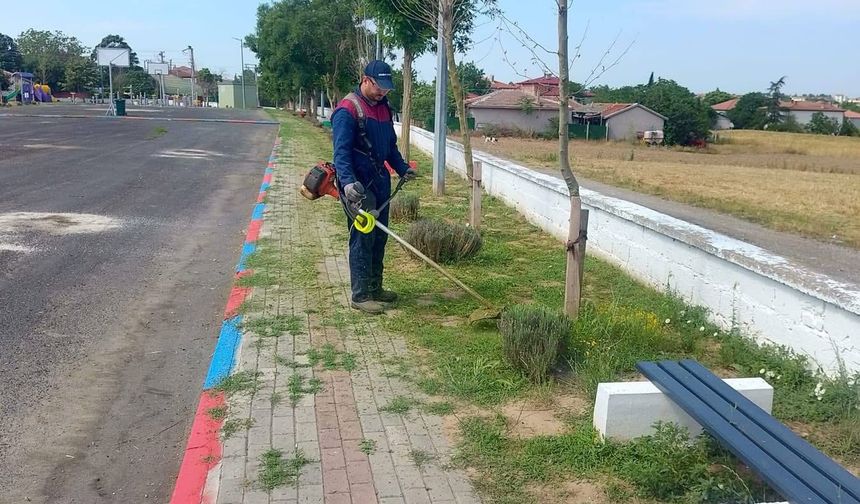 Kavaklı Yaz Sezonuna Hazırlanıyor