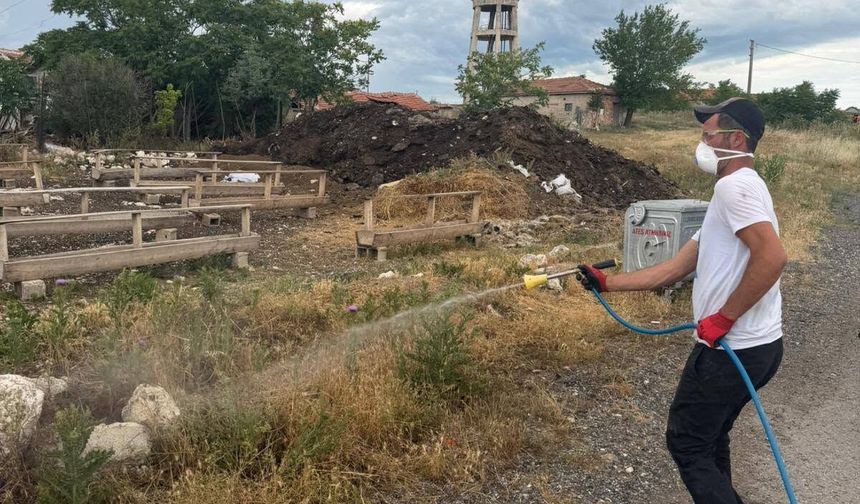 Kaynarca’da İlaçlama Çalışmaları Devam Ediyor