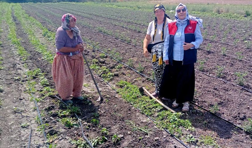 Kadın Çiftçilere Sahada Teknik Destek