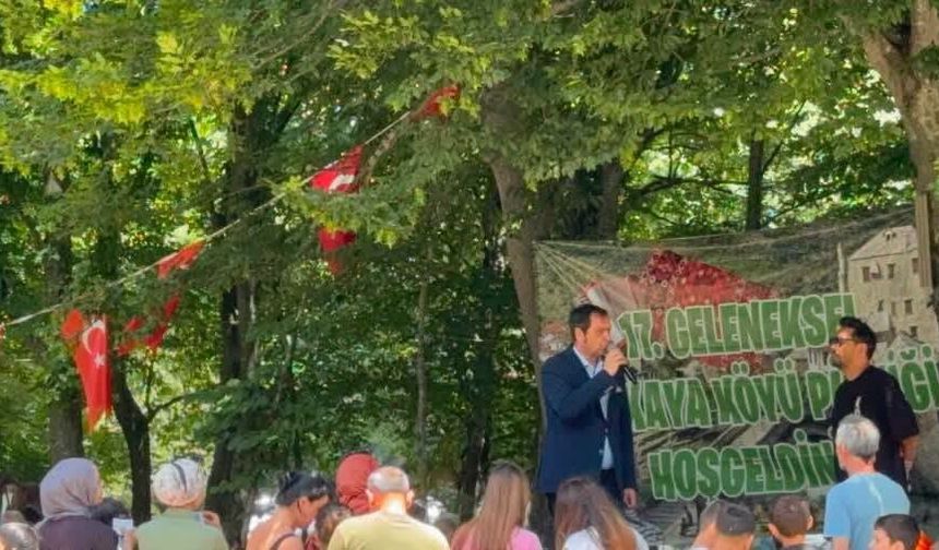 Başkan Özalp Balkaya Köyü Pikniğine Katıldı