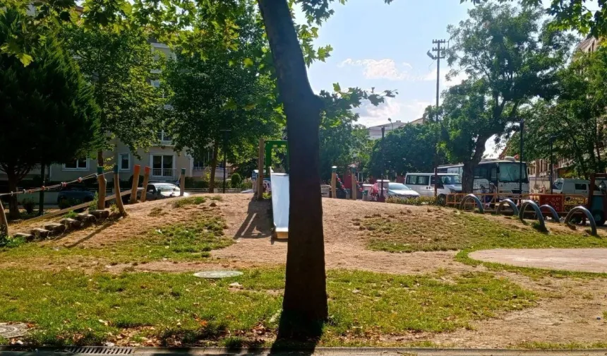 Hem Sıcak Hem Yağmur