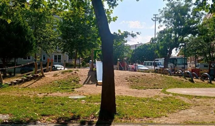Hava Sıcaklıkları Yükseliyor