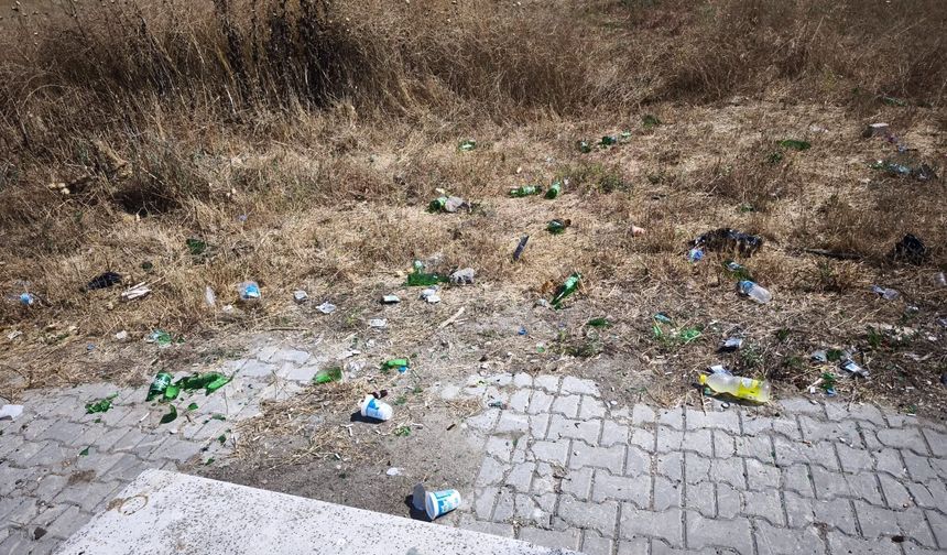 Başkan Çamlıca’dan Doğayı Koruma Çağrısı
