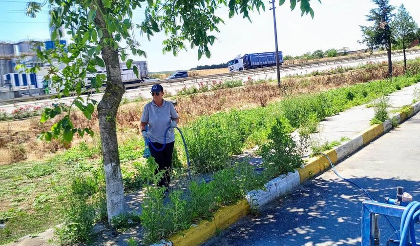 Büyükkarıştıran'da Temizlik ve İlaçlama Çalışmaları Sürüyor