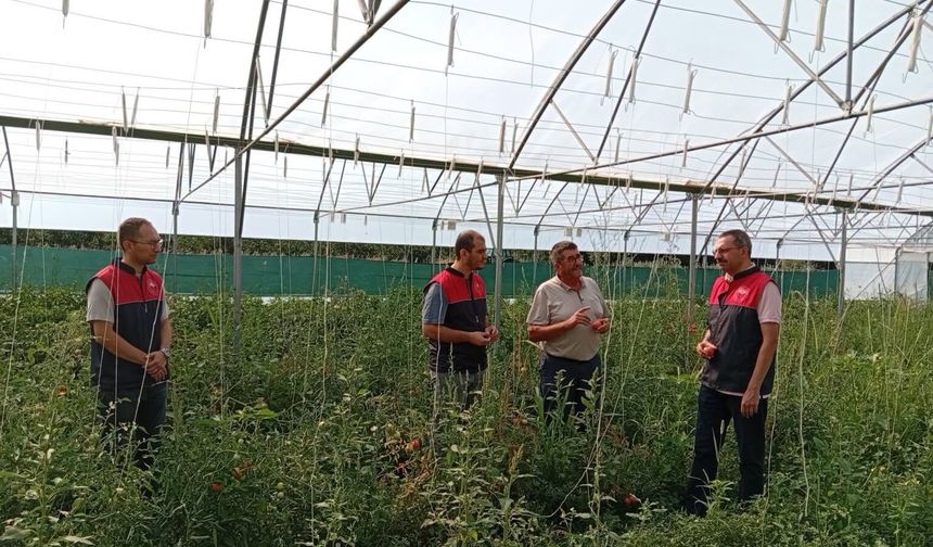 Kaymakam Özderin'den Sera Üreticisine Ziyaret