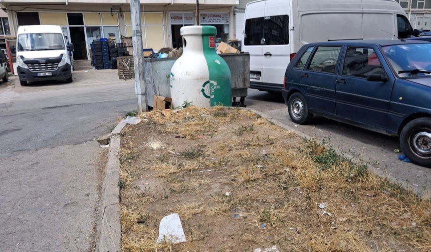 Vatandaşlar Çöpleri Ayrıştırıyor