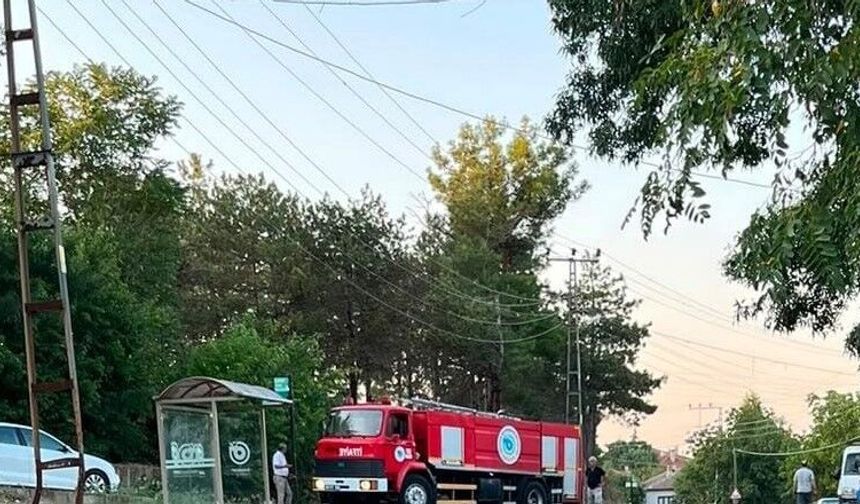 Muratlı'da ağaçlık alanda çıkan yangın söndürüldü